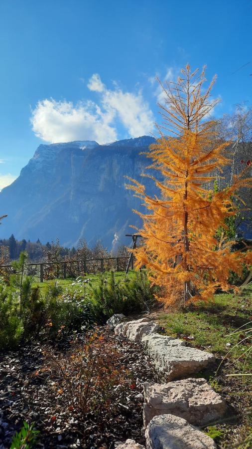 Il Giardino Di Anna - Appartamento 1 Fai della Paganella Kültér fotó